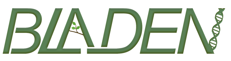 BLADEN Logo